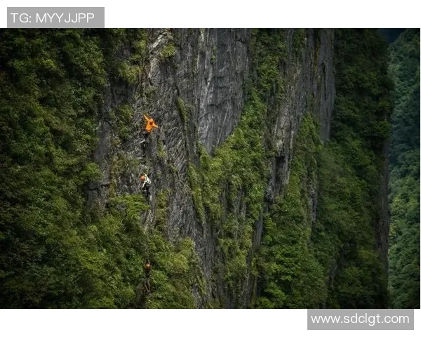 成都攀岩队的反击之路：挑战与收获的深度解析