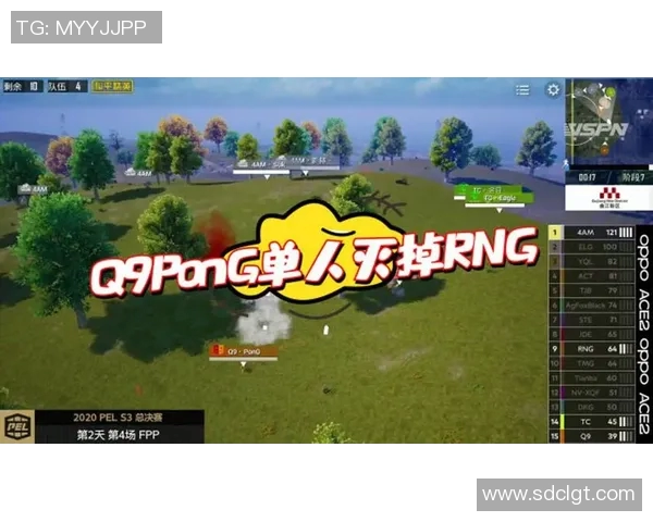 聚焦和平精英RNG团队协作的成功秘诀与挑战分析